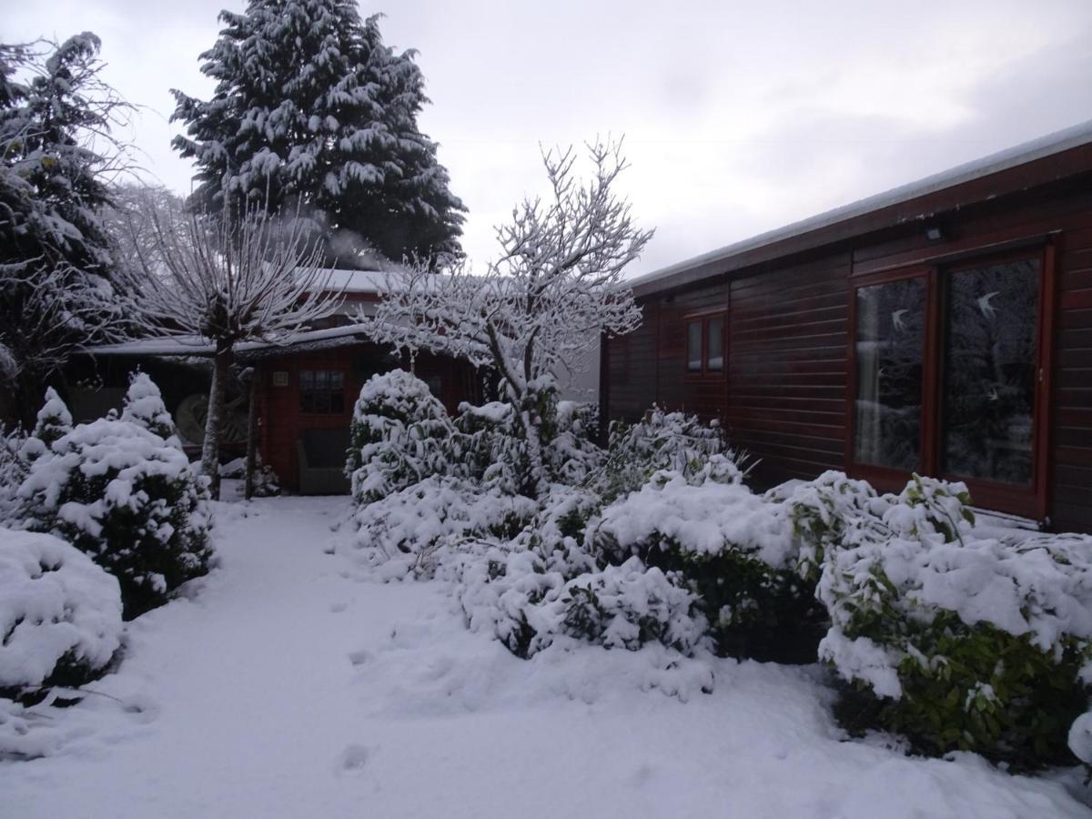 Veluwe Park Reewold Chalet Infinity Putten Exterior photo